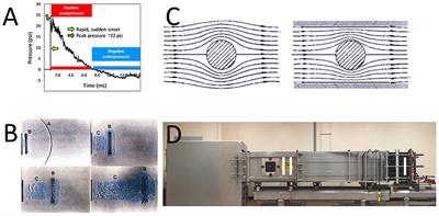 Sex as a Biological Variable in Preclinical Modeling of Blast-Related Traumatic Brain Injury